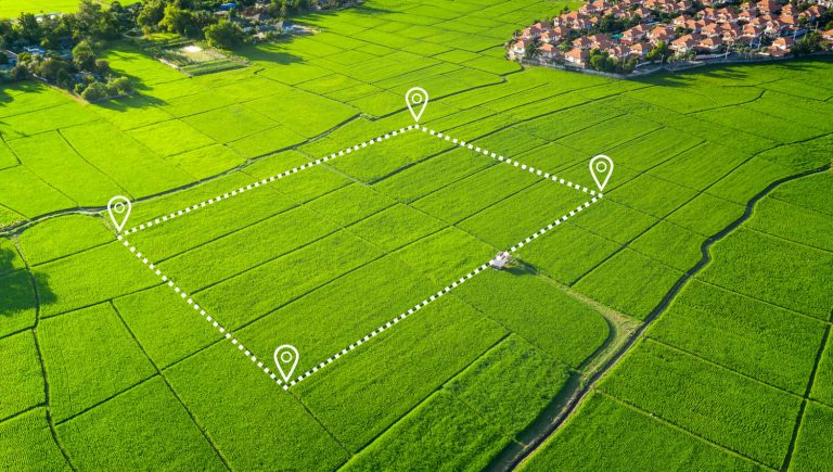 چگونه زمین ارزان بخریم؟ سرمایه گذاری در زمین