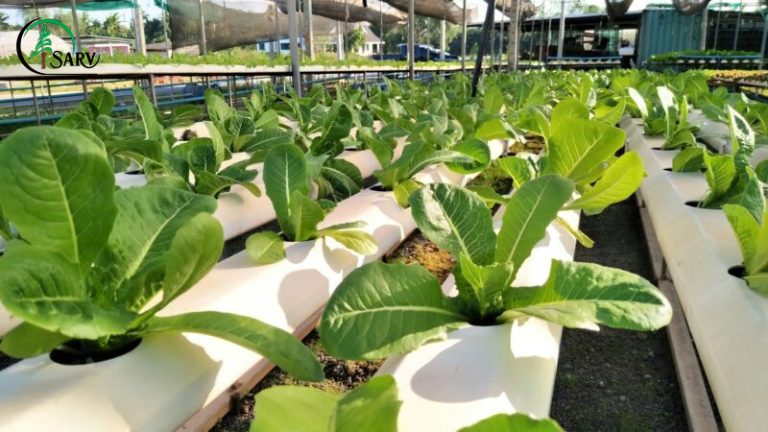 بهترین روش‌های افزایش بازدهی باغ و زمین کشاورزی