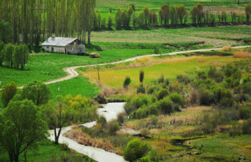 شهرستان فیروزکوه