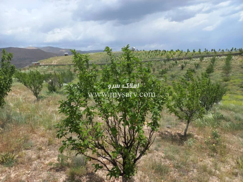 ۲ هکتار باغ مشرف دریاچه با سند